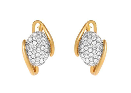 Gold Plated | Fashion Earrings